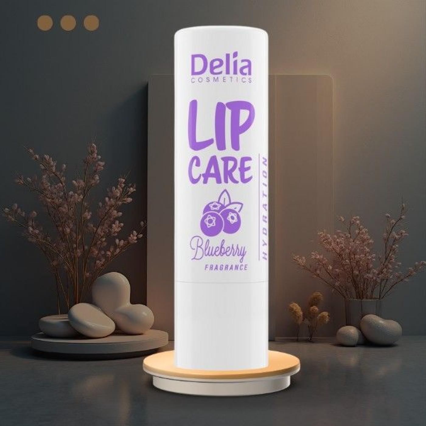 Delia Cosmetics Lip Care - Lip Balm - Blueberry, 4.9 gm